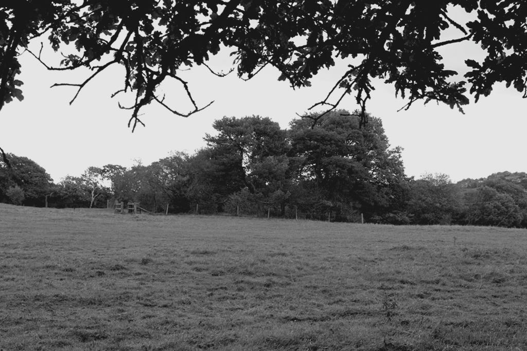The Witches' Circle, Winlaton, photo by Geoff Brown