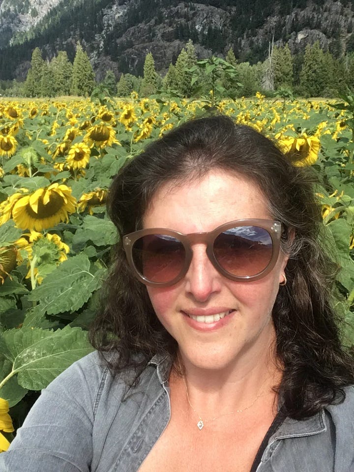 First Image (Angela Seear in sunflower field): Angela Seear smiling in a sunflower field, wearing oversized sunglasses and a denim shirt, with a mountain forest in the background. Second Image A landscape painting by Angela Seear featuring abstracted silhouettes of trees on a rocky shoreline at sunset. The scene includes soft pastel hues of pink, lavender, and sage green with reflections in the water and bold blocks of earthy color in the foreground.