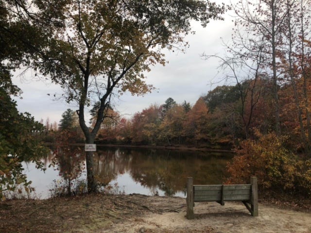 my favorite place to walk, think and enjoy nature