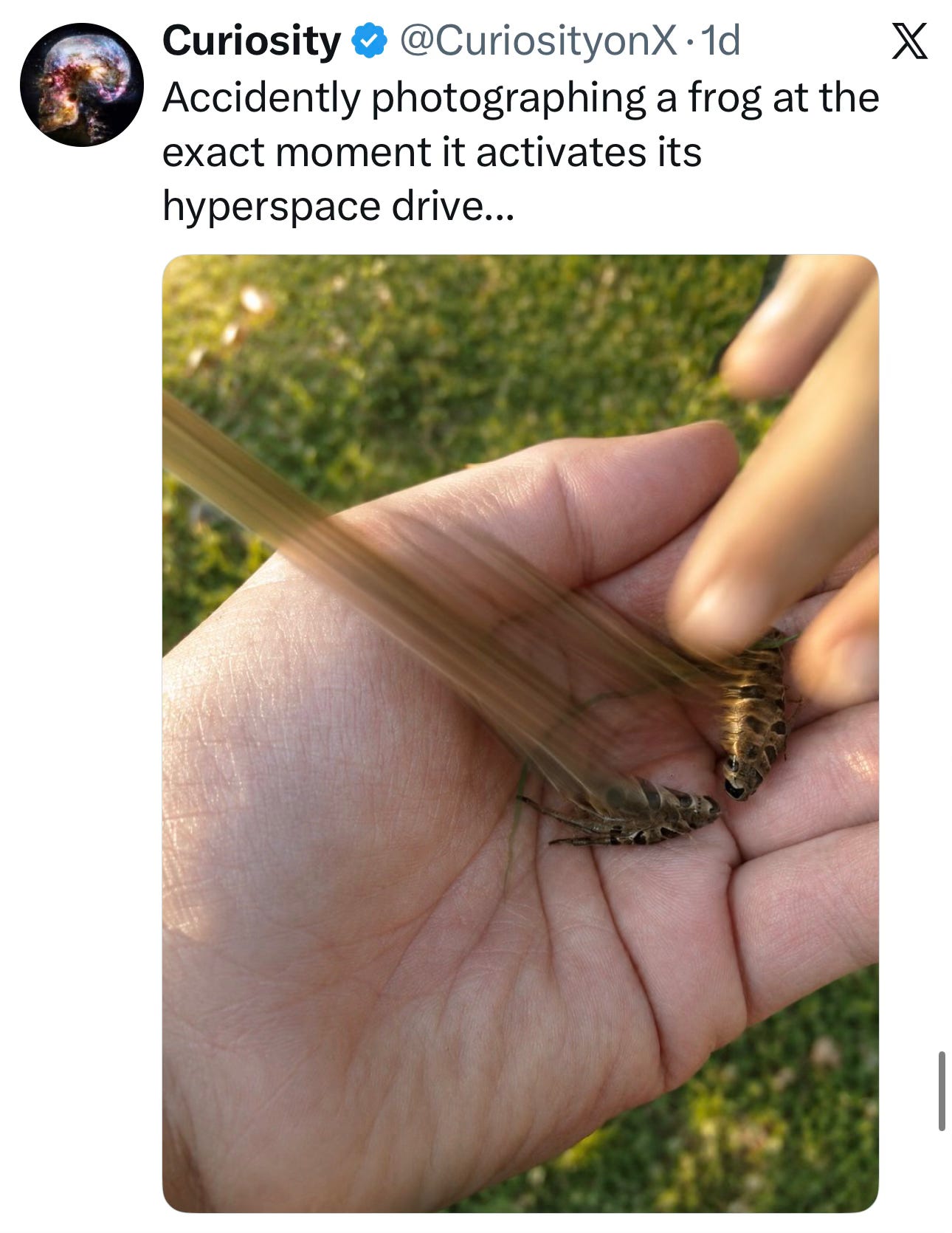 Image.heic