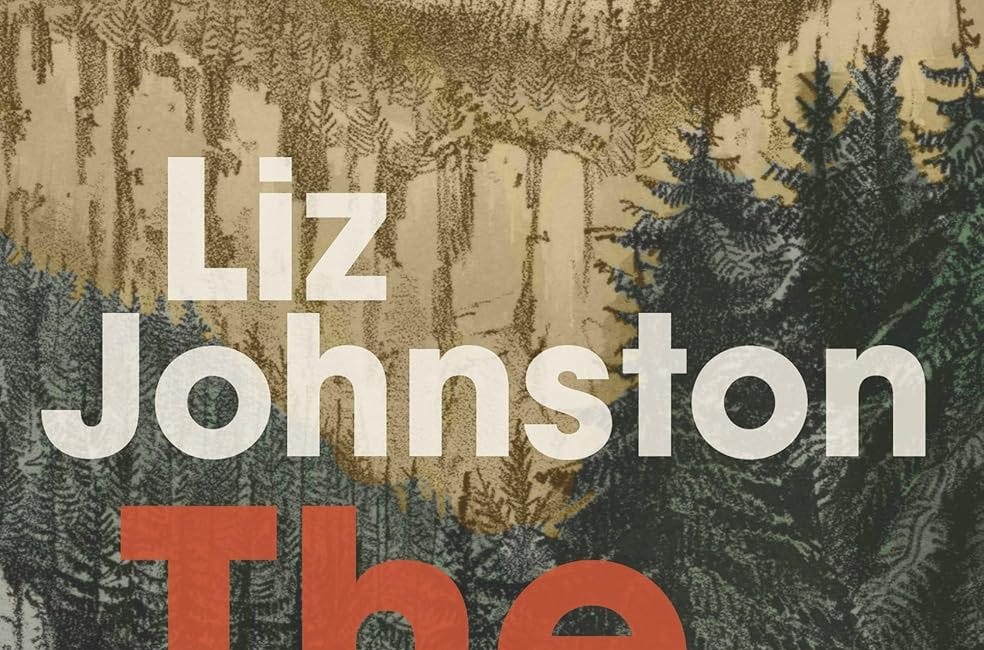 The Fall-Down Effect by Liz Johnston