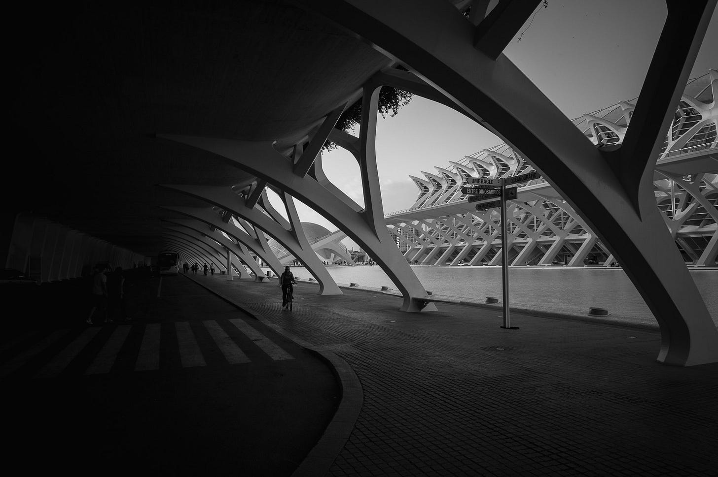 Ciudad de las Artes y las Ciencias - Valencia-DSC_2506-pete-carr-pete-carr.jpg Ciudad de las Artes y las Ciencias - Valencia-DSC_2506-pete-carr-pete-carr.jpg