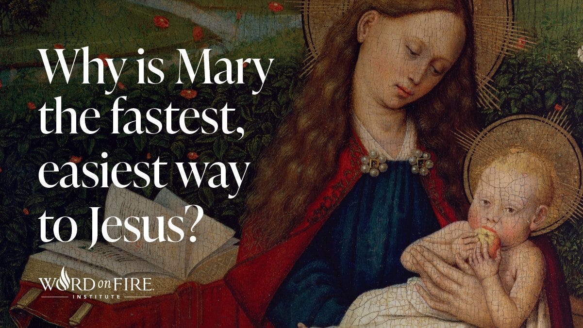 Word on Fire on X: "Watch the Word on Fire Institute's exclusive live  series on Mary, our spiritual mother, at https://t.co/EtCMjtqa56.  https://t.co/Gja7MY1v3y" / X