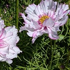 The Power of a Good Story