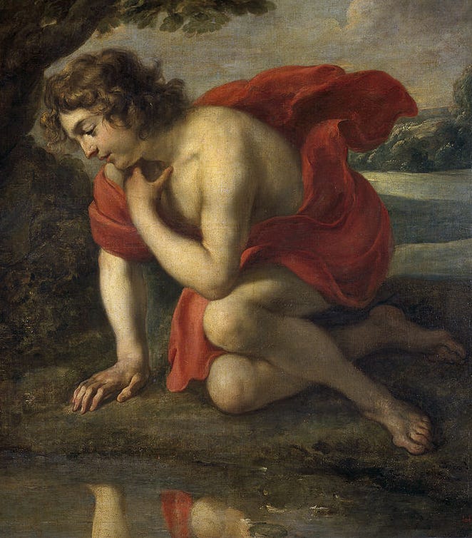 Narciso | Wiki Mitología Griega | Fandom