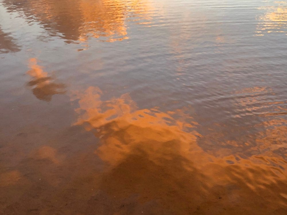 magic sunset water reflection ripples muunie beard creative life coach spiritual coach