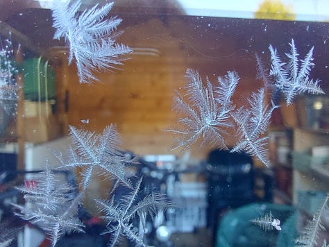 Ice flowers