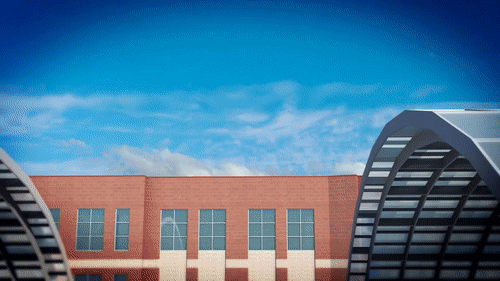 [video-to-gif output image]