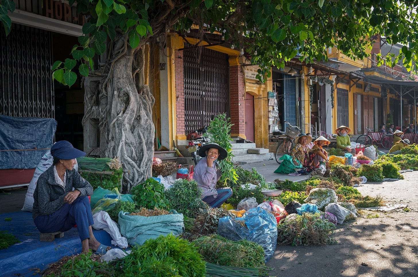 Góc bán lá mùng 5 trên đường Bạch Đằng, Hội An. Góc bán lá mùng 5 trên đường Bạch Đằng, Hội An.