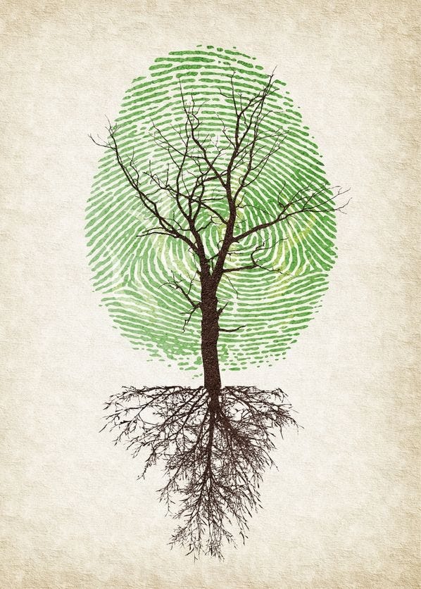 May be a doodle of tree May be a doodle of tree