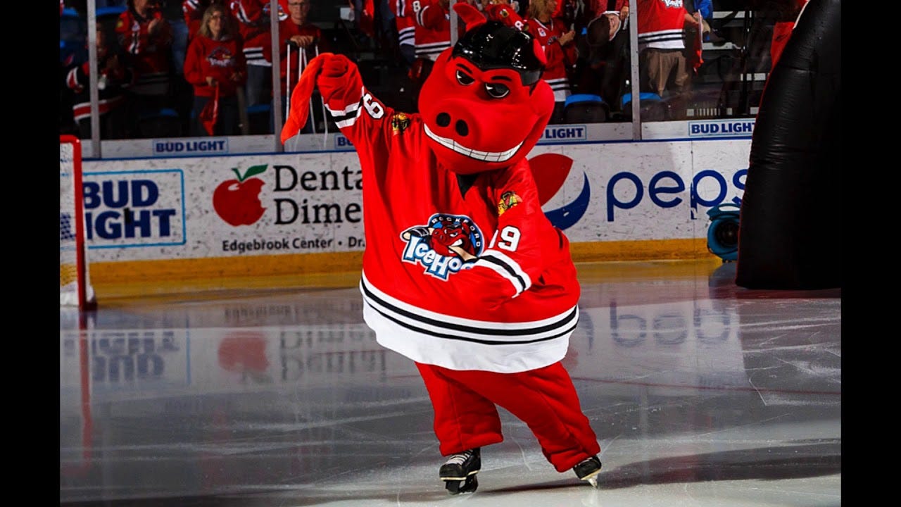 The History of Hammy from Rockford IceHogs - YouTube The History of Hammy from Rockford IceHogs - YouTube