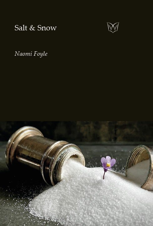 The cover of Salt & Snow by Naomi Foyle. Photo of an antique salt cellar, tipped over, with a small violet flower emerging from the mound of salt. 
