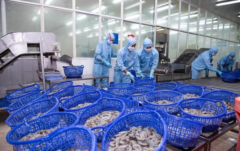 Doanh thu tháng 2 của Sao Ta (FMC) tăng 85% | Tin nhanh chứng khoán