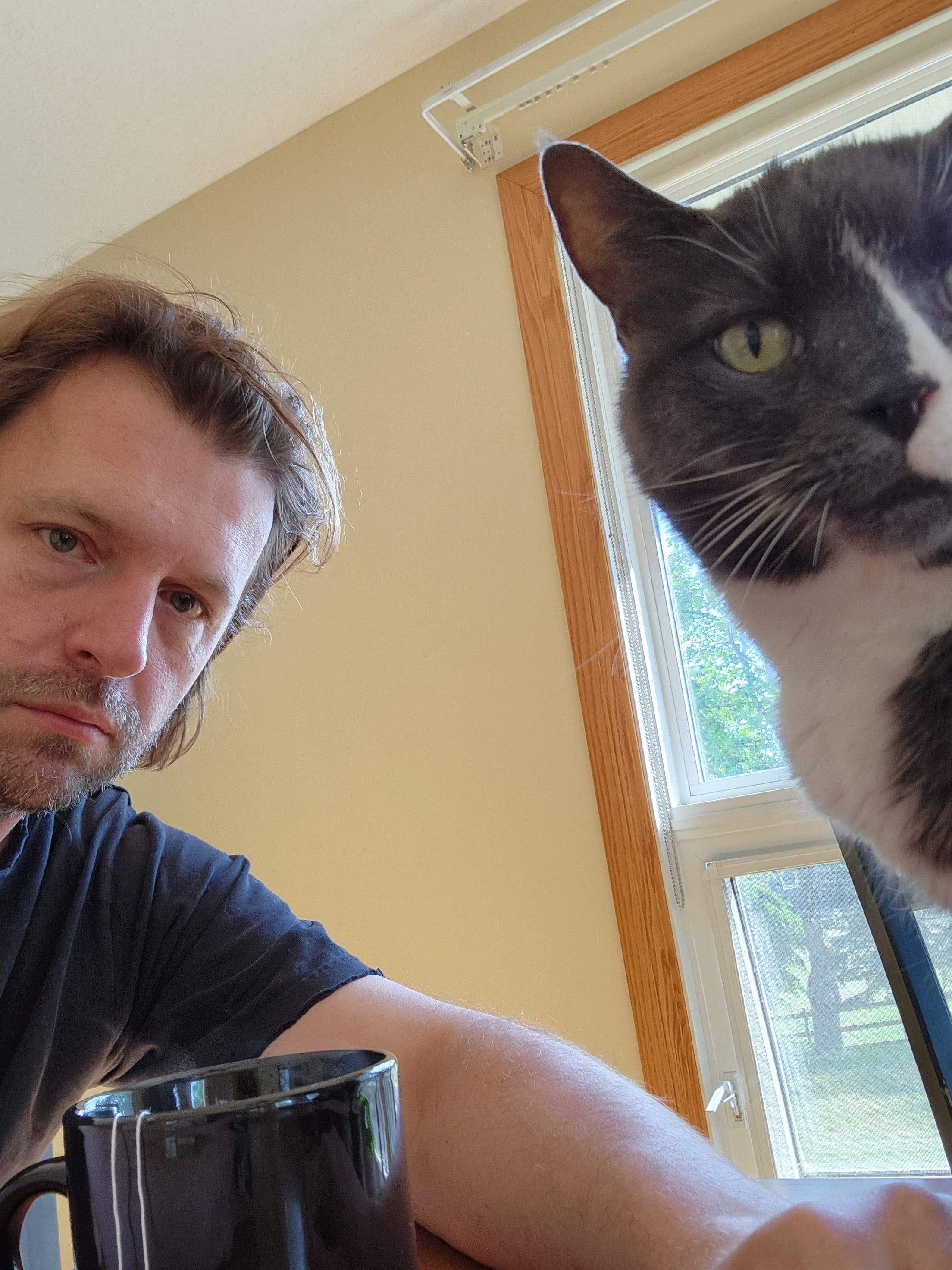 Cameron’s Substack