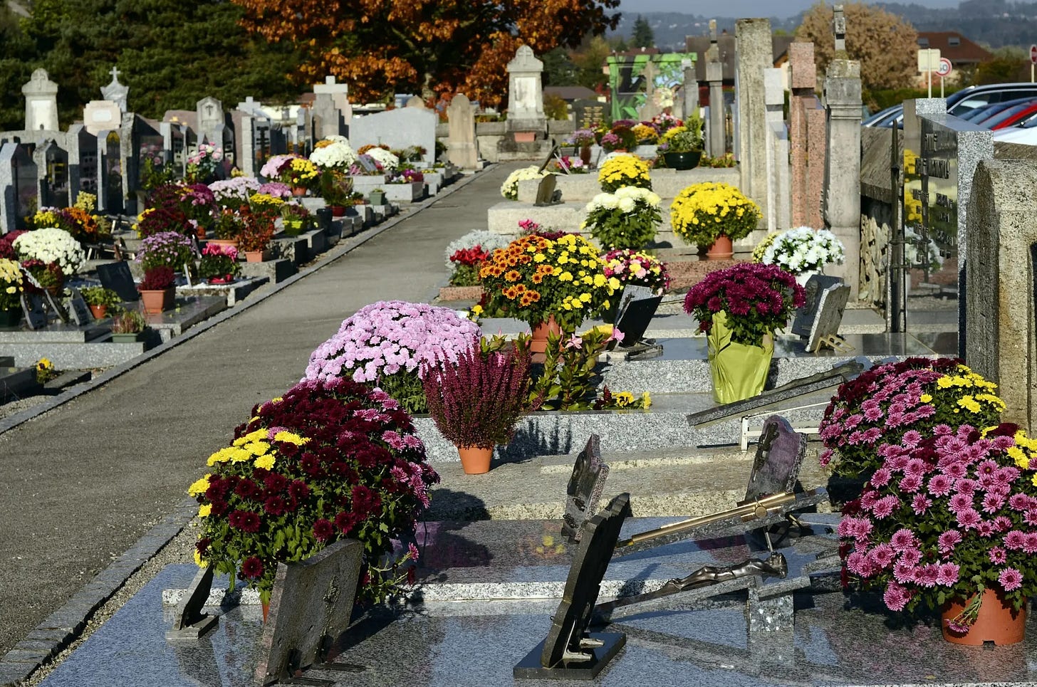 Rows of granite graves in a French cemetery, each covered with large potted chrysanthemums in yellow, white, pink, orange and deep burgundy, lining a paved path under autumn trees. Rows of granite graves in a French cemetery, each covered with large potted chrysanthemums in yellow, white, pink, orange and deep burgundy, lining a paved path under autumn trees.