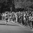 The Good, The Bad, and The Toxic: Coaching, Therapy and a Leadership Lens