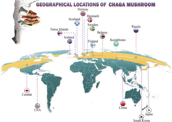 Geographical locations of Chaga
