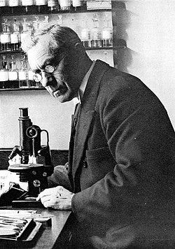 File:Martinus Willem Beijerinck 1.jpg