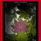 Nine Archetype: Soul Octave