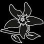 Summerflowers's avatar