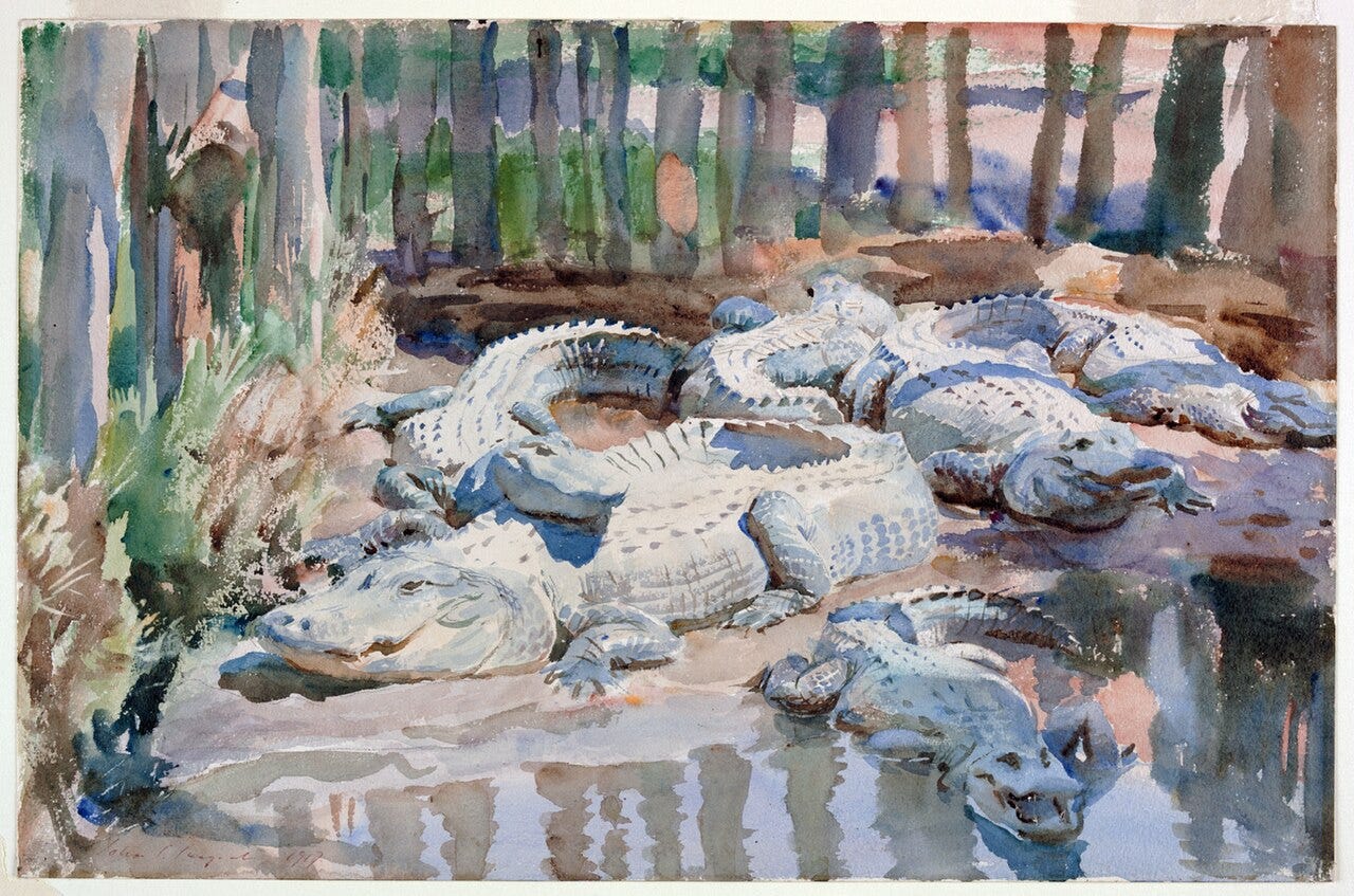 Five pale alligators lying on a muddy bank in front of tree trunks, painted in loose watercolor Five pale alligators lying on a muddy bank in front of tree trunks, painted in loose watercolor