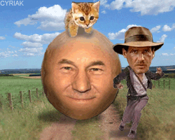 Indiana Jones running away from a cat on a boulder with the face of Charles Xavier.