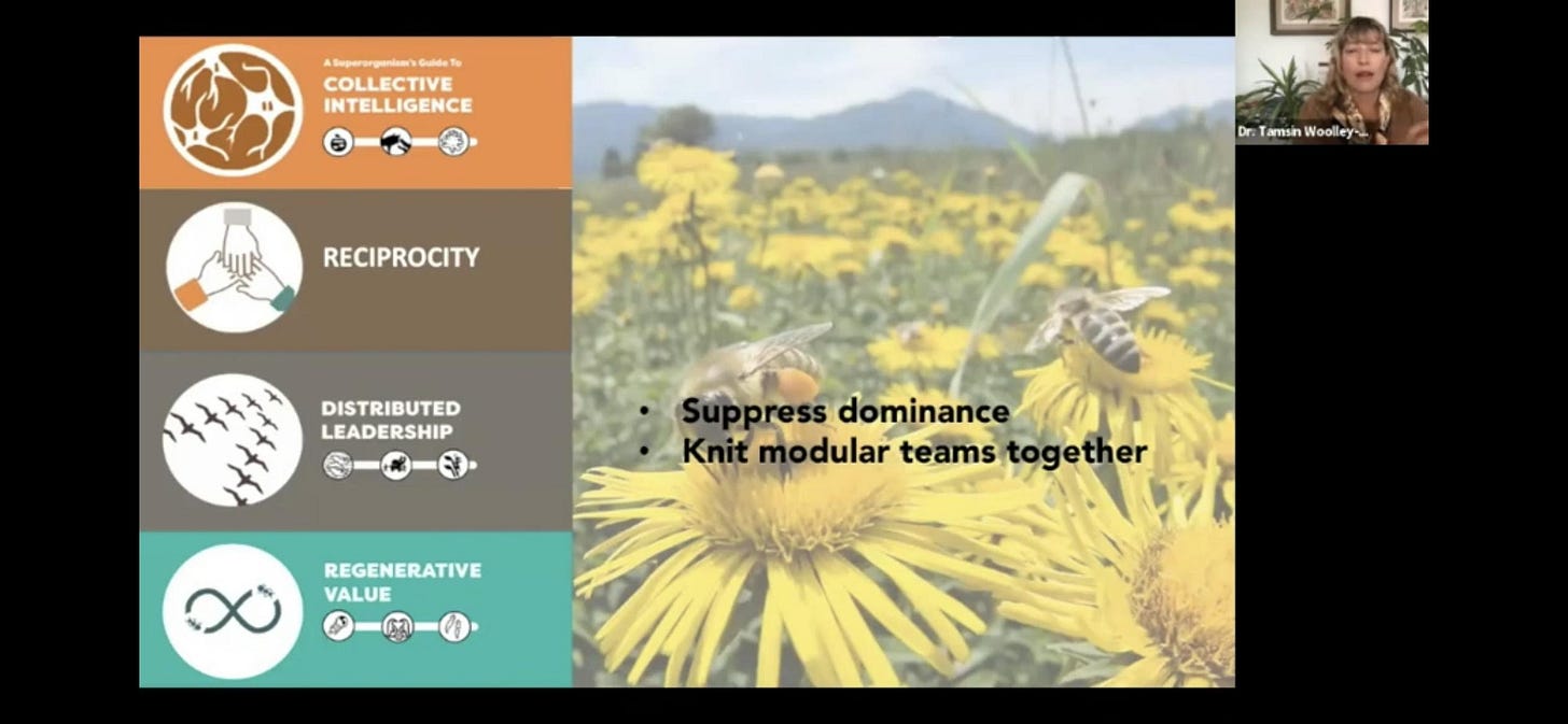 036: Redesign your Ecosystem, Redesign your Life. 036: Redesign your Ecosystem, Redesign your Life.