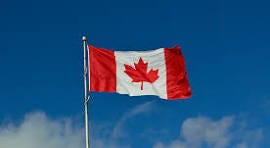 A flag on a pole

AI-generated content may be incorrect.