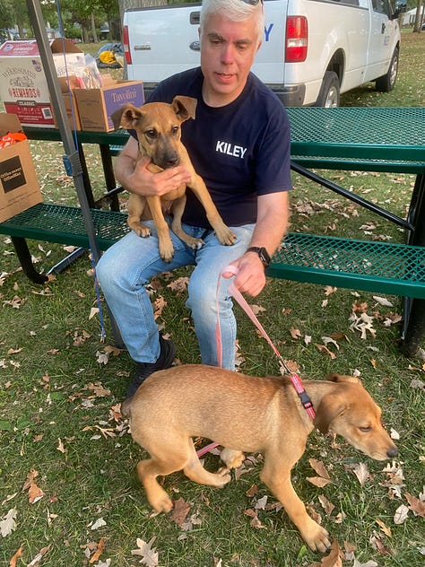 2025 Clawson Fall Festival and Claws n’ Paws