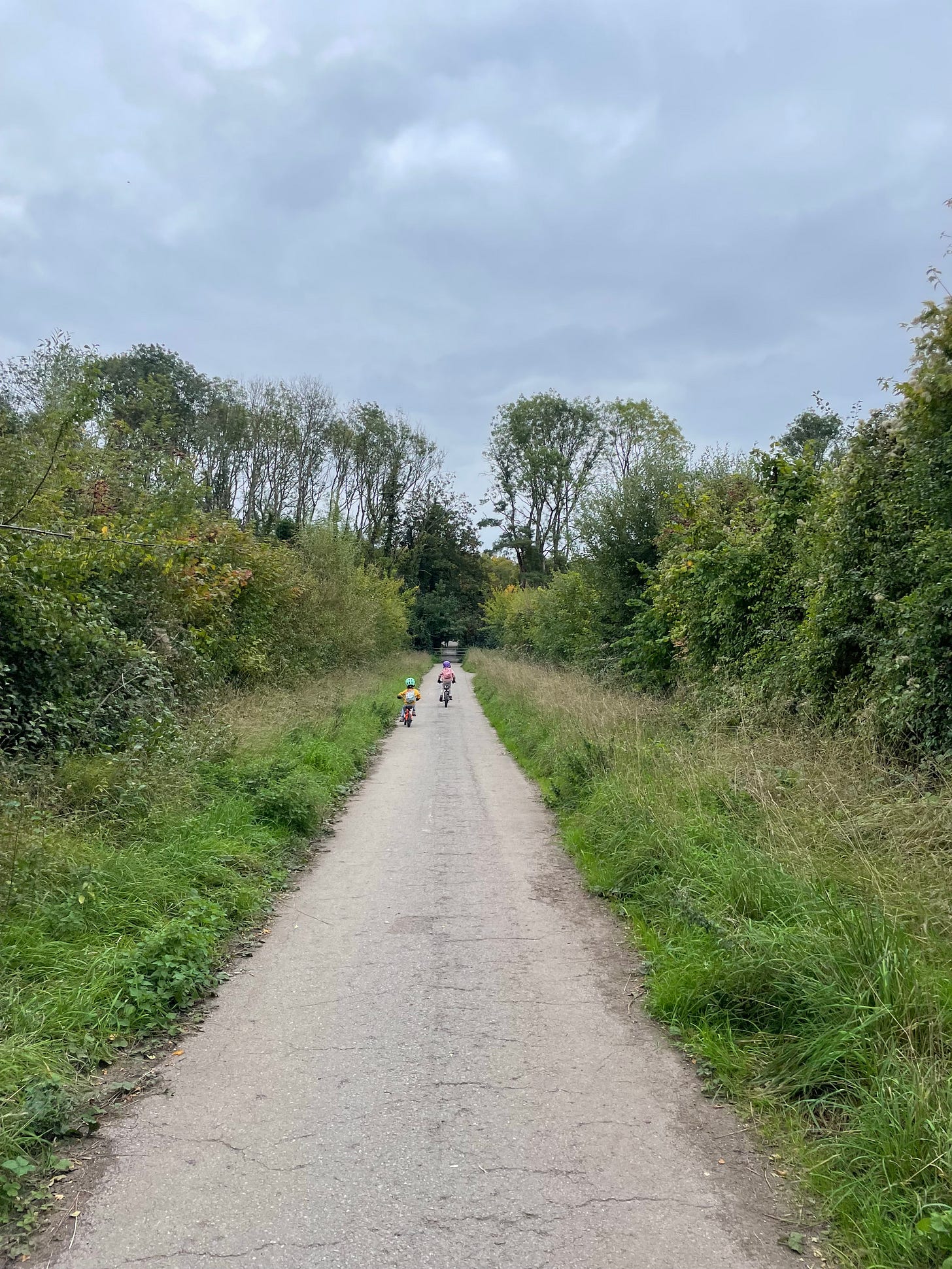A photograph of a hedge-lined path, with two small children visible in the distance on bicycles.