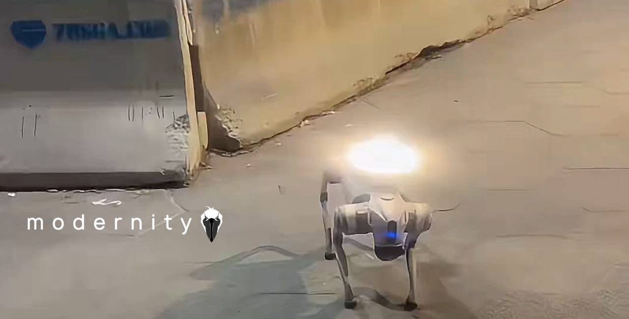 Watch: Atlanta Robot Dogs Now Giving Commands to Americans