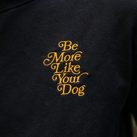 awkward man frolics around stream with dogs wearing very nice merch from be more like your dog