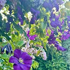 Create the ultimate garden prettiness with easy plants and fuss-free plant pairings. Also: Elton John's garden and gondolier's underpants