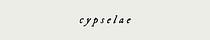 cypselae