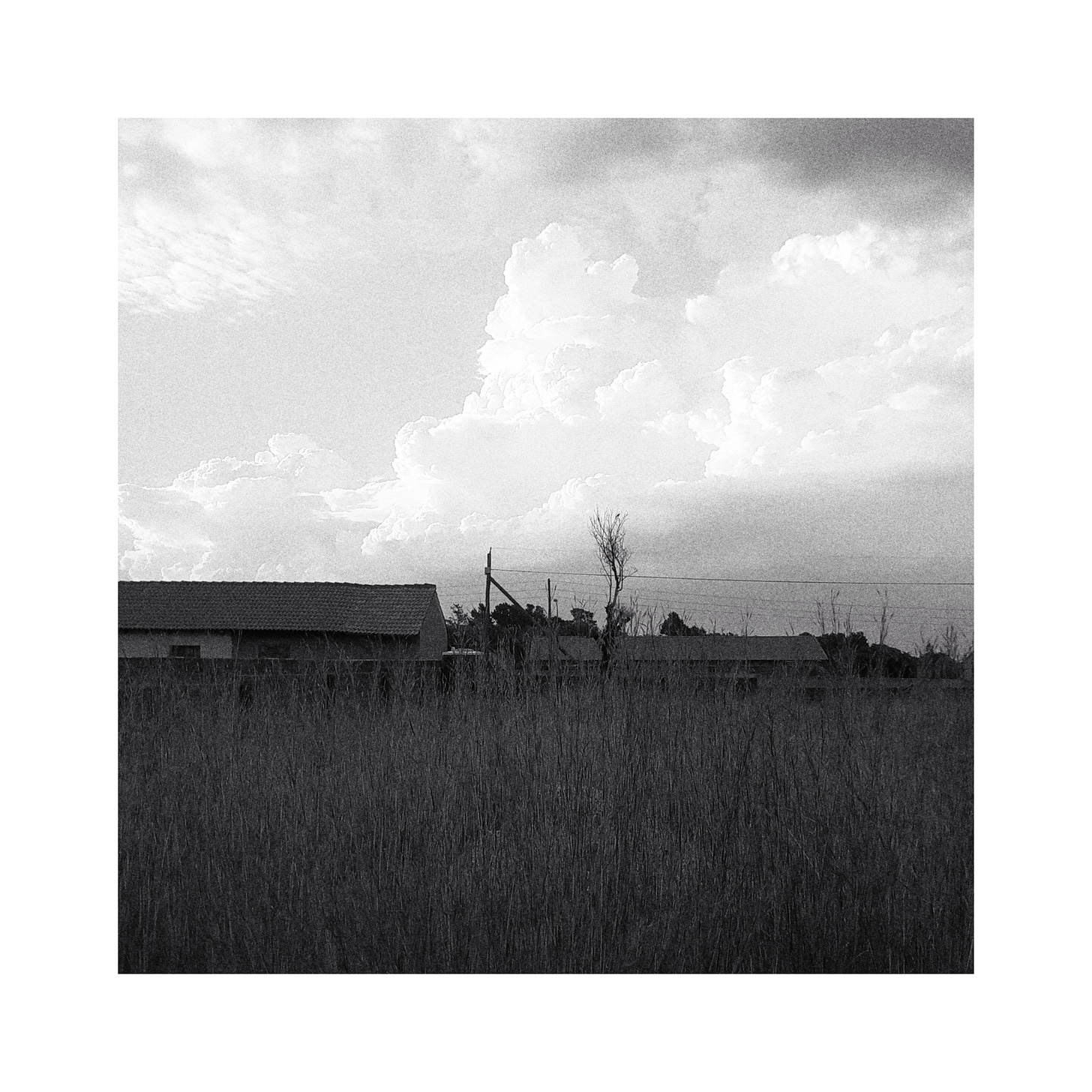 A photo of clouds behind a tree and a roof.