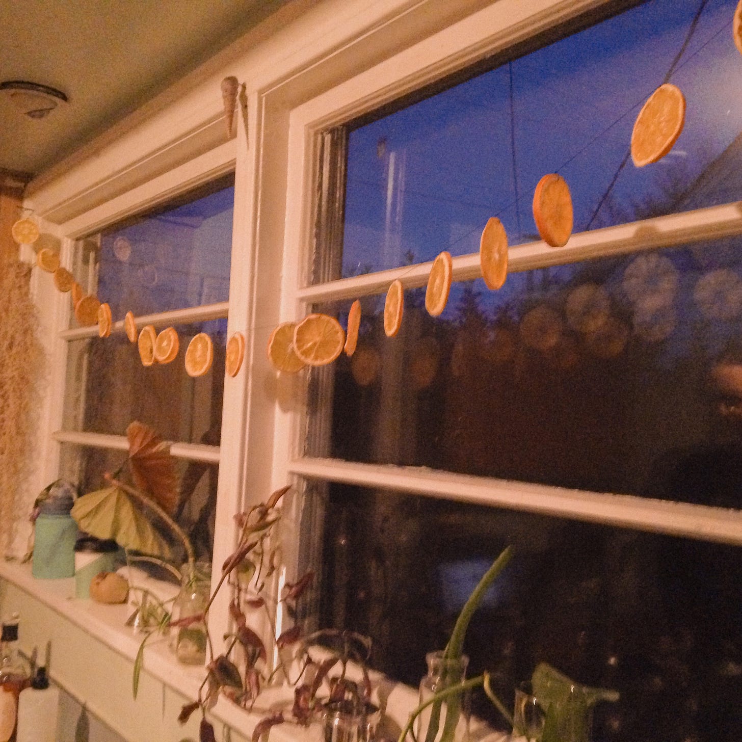 A window looking out a dark street with plants on the sill and dried oranges hung over it.