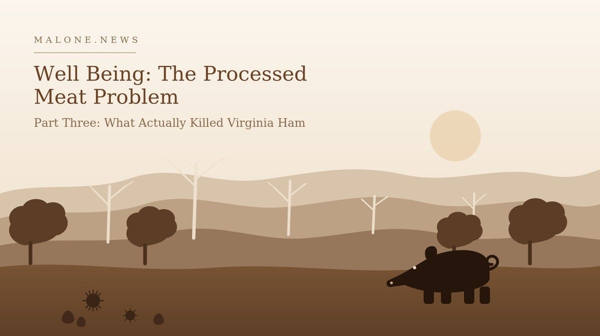 Well Being: The Processed Meat Problem