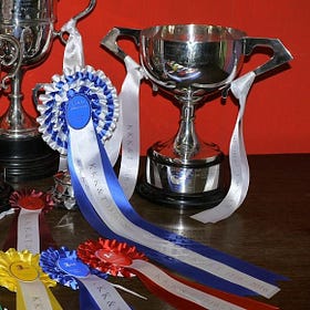 A great comeback for Killyleagh Show