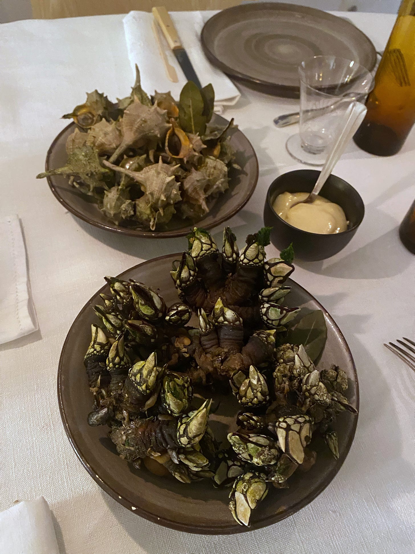 percebes-pouce-pied-murex