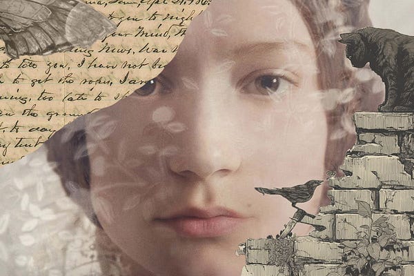 Whims of the Wilderness | Amelia Riley | Substack