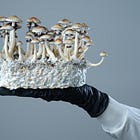 Understanding the Different Types of Magic Mushrooms