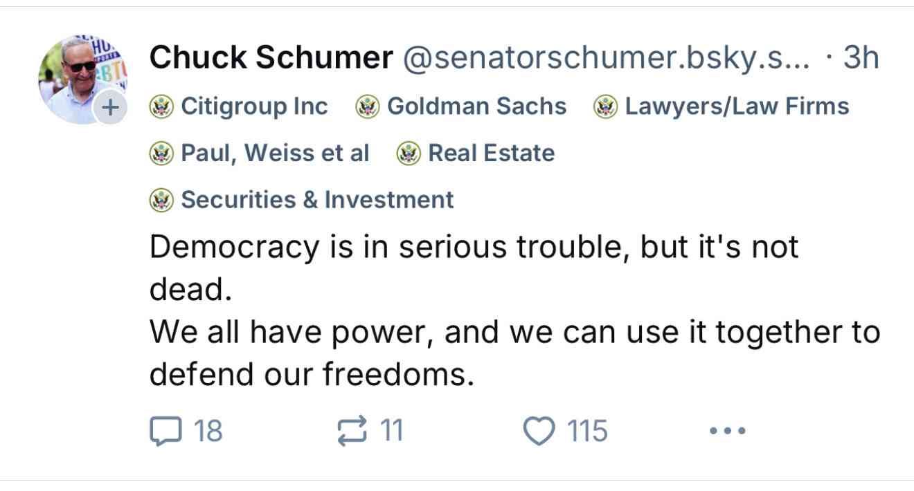 Post by Chuck Schumer. Labels show affiliated organizations: Citigroup Inc, Goldman Sachs, Lawyers/Law Firms, Paul, Weiss et al, Real Estate, Securities & Investment. Post text reads "Democracy is in serious trouble, but it's not dead. We all have power, and we can use it together to defend our freedoms." Post by Chuck Schumer. Labels show affiliated organizations: Citigroup Inc, Goldman Sachs, Lawyers/Law Firms, Paul, Weiss et al, Real Estate, Securities & Investment. Post text reads "Democracy is in serious trouble, but it's not dead. We all have power, and we can use it together to defend our freedoms."