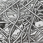 Caged Chaos's avatar