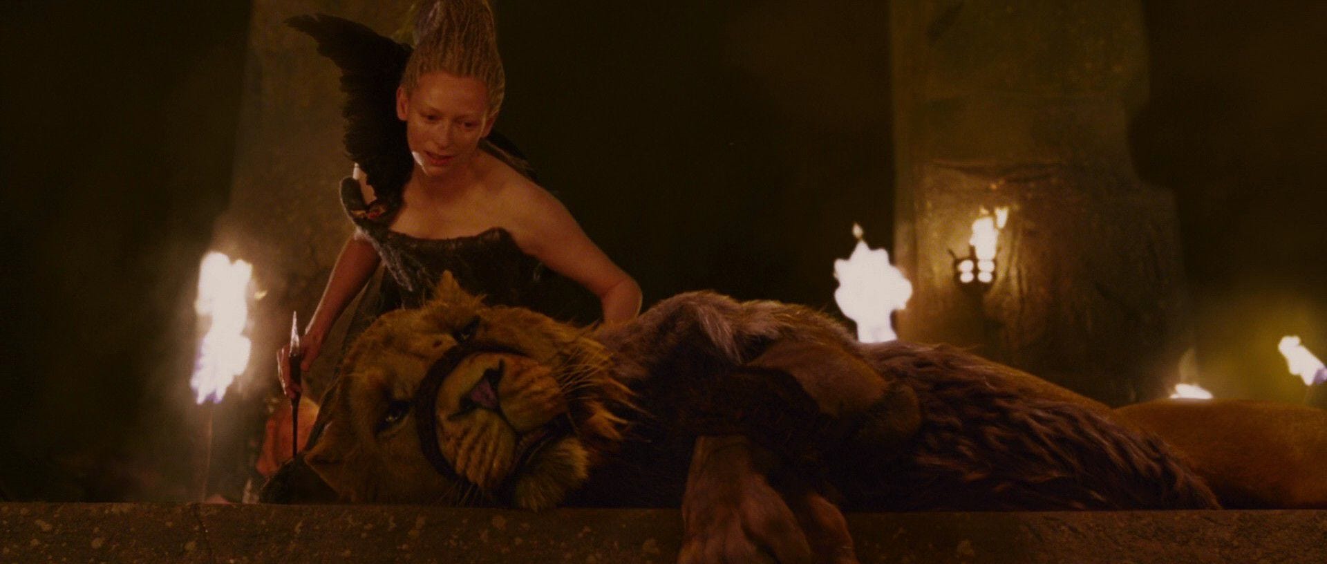 Lioness of Narnia (Peter Pevensie Story; COMPLETED) - Chapter 8 - The ...