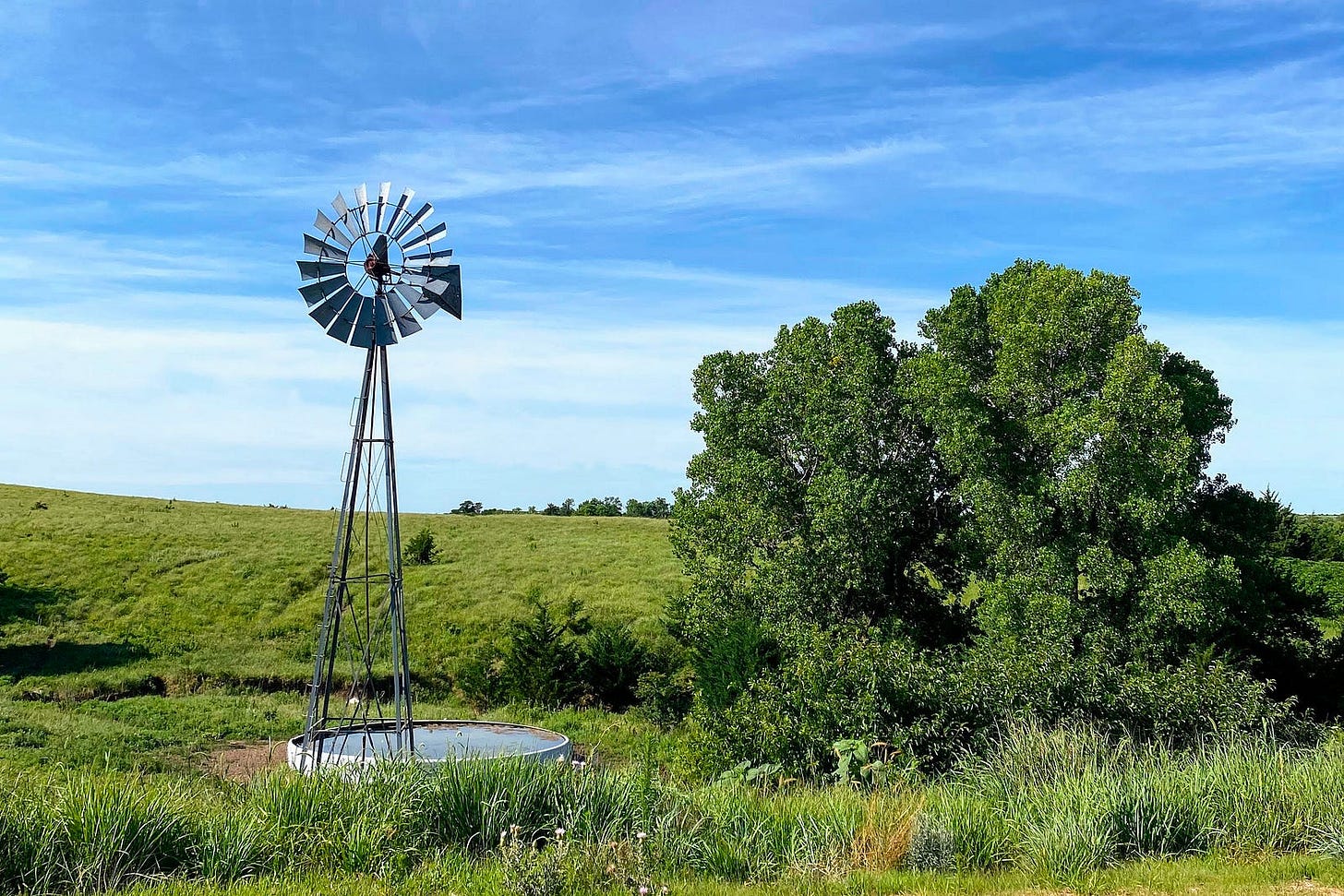 A traditional multi-blade farm windmill stands tall beside a circular metal stock tank in a lush green prairie, with a large leafy tree to the right and rolling grassland under a bright blue sky with wispy clouds A traditional multi-blade farm windmill stands tall beside a circular metal stock tank in a lush green prairie, with a large leafy tree to the right and rolling grassland under a bright blue sky with wispy clouds