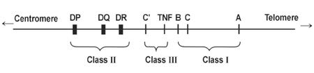An external file that holds a picture, illustration, etc.
Object name is ymj-48-11-g001.jpg An external file that holds a picture, illustration, etc.
Object name is ymj-48-11-g001.jpg