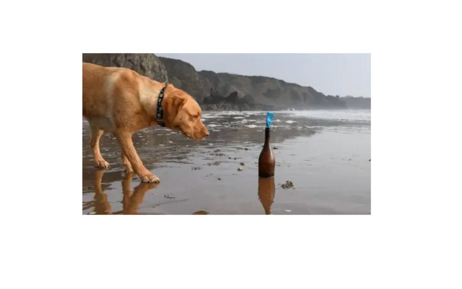 Travel Tech Essentials #200: Excellence