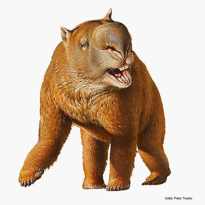 A diprotodon that could not be happier you're here.