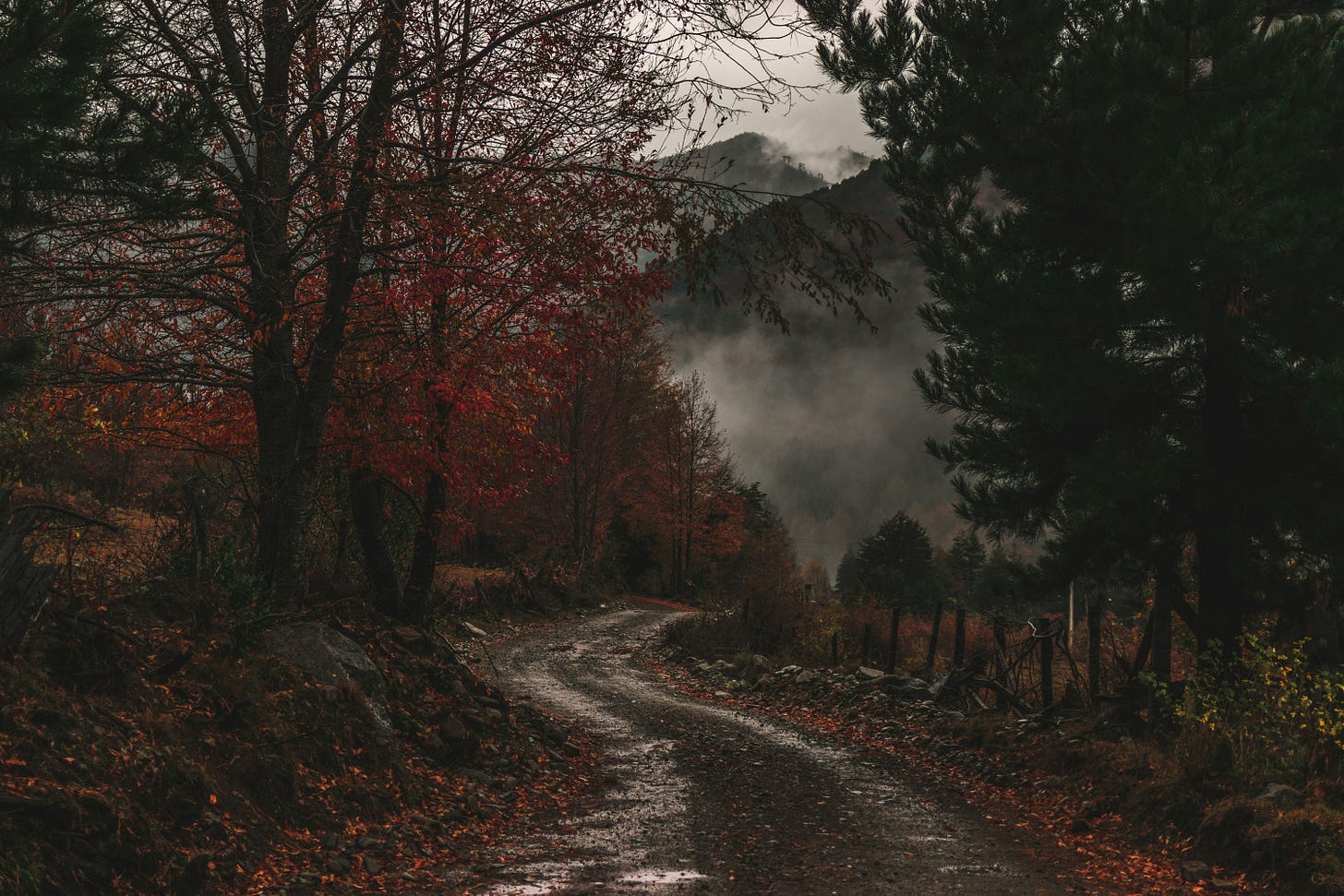 A winding dirt path cuts through a misty autumn forest, lined with dark trees and scattered red leaves, disappearing into fog-covered mountains. A winding dirt path cuts through a misty autumn forest, lined with dark trees and scattered red leaves, disappearing into fog-covered mountains.