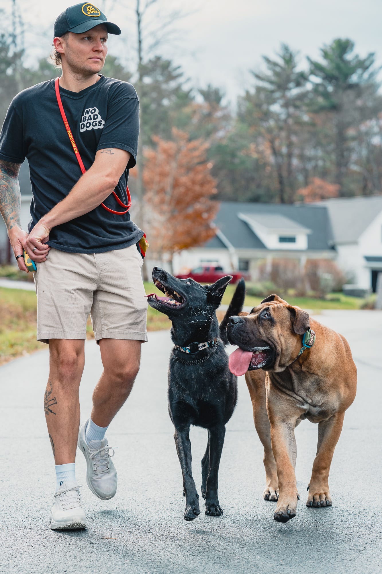 The Biggest Mistake People Make When Training Their Dog